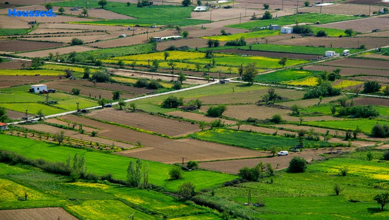 Image of Balaji IIT Avenues